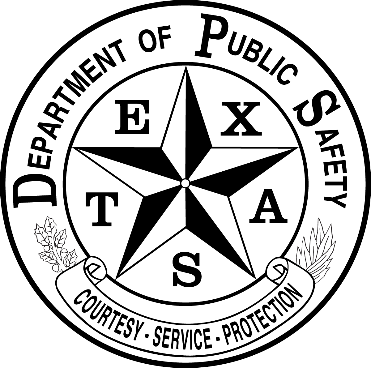 DPS Logo