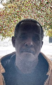Photo of NED, ANTHONY PAUL