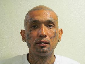 Photo of BROWN, PEDRO