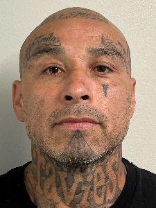 Photo of ZAMARRIPA, JUAN DAVID