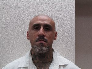 Photo of SANTOS, PALOMO