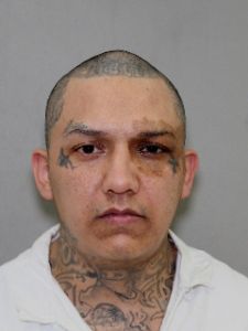 Photo of CRUSES, MARGARITO