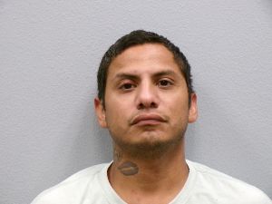 Photo of ALFARO, MARTIN
