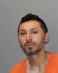 Photo of AL-SHAMI, NICKI MATTHEW