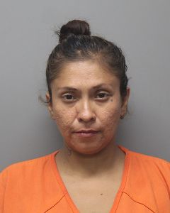 Photo of SALAZAR, MARISELA