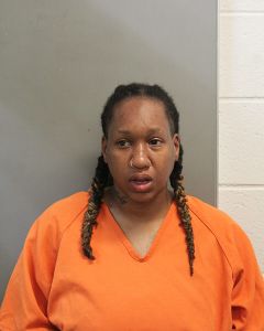 Photo of SULLIVAN, DONNISHA MICHAEL