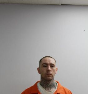 Photo of TIPPY, KELSEY WRAY