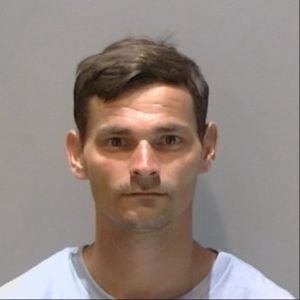 Photo of BROW, JAMIE LEE