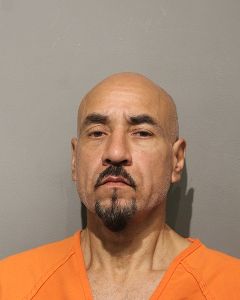 Photo of PALOMINO, VINCENT