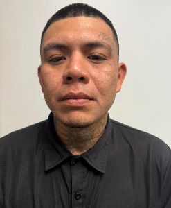 Photo of GAMEZ, MIKE DIAZ