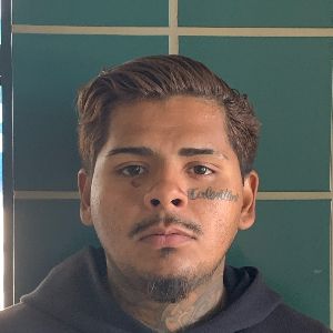 Photo of PALACIOS, CELESTINO
