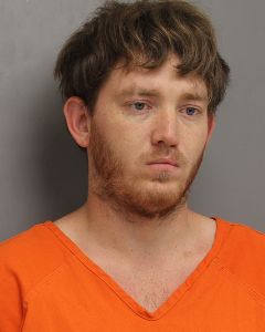 Photo of DONALDSON, WILLIAM AUSTIN