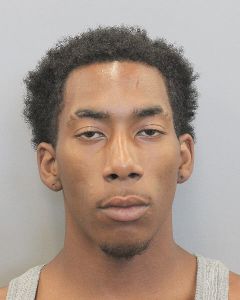 Photo of ANDREWS, NEONDRAY